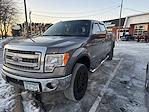 2013 Ford F-150 SuperCrew Cab 4WD Pickup for sale #W2087B - photo 5