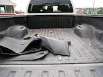2016 Ford F-250 Crew Cab 4x4 Pickup for sale #W966B - photo 10
