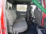 2025 Ford F-150 SuperCrew Cab 4WD Pickup for sale #WF0678Z - photo 10