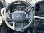 2023 Ford F-150 SuperCrew Cab RWD Pickup for sale #P664 - photo 23