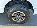 2024 Ford F-250 Crew Cab 4WD Pickup for sale #TG267A - photo 13