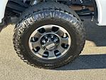 2024 Ford F-250 Crew Cab 4WD Pickup for sale #TG267A - photo 18