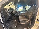 2024 Ford F-150 SuperCrew Cab RWD Pickup for sale #L260219366T1 - photo 10