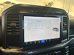 2024 Ford F-150 SuperCrew Cab RWD Pickup for sale #L260219366T1 - photo 14
