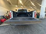 2024 Ford F-150 SuperCrew Cab RWD Pickup for sale #L260219366T1 - photo 32