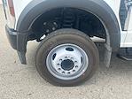 2024 Ford F-450 Crew Cab DRW 4x2 DuraMag Landscape Dump for sale #L4DE59897 - photo 17