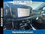 2024 Ford F-250 Crew Cab 4x4 Pickup for sale #L4DE88552 - photo 11