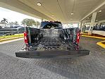 2023 Ford F-150 SuperCrew Cab RWD Pickup for sale #L4DF00105A - photo 31