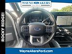 2024 Ford F-250 Crew Cab 4x4 Pickup for sale #L4DF86305 - photo 14