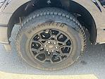 2024 Ford F-150 SuperCrew Cab 4x4 Pickup for sale #L4DF90818A - photo 22