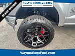 2024 Ford F-150 SuperCrew Cab 4x4 Pickup for sale #L4FA52216 - photo 20