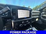 2024 Ford F-250 Crew Cab 4WD Pickup for sale #L5DC55817A - photo 12