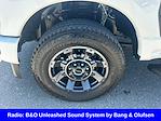 2024 Ford F-250 Crew Cab 4WD Pickup for sale #L5DC55817A - photo 23