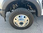 2025 Ford F-450 Crew Cab DRW 4x4 Pickup for sale #L5DD24323 - photo 19