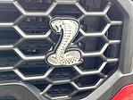 2025 Ford F-150 SuperCrew Cab 4x4 Pickup for sale #L5FA21219 - photo 23