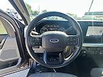 2023 Ford F-350 Crew Cab DRW 4WD Pickup for sale #L6DD08834A - photo 15