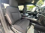 2023 Ford F-150 SuperCrew Cab 4x2 Pickup for sale #LPA12170 - photo 30