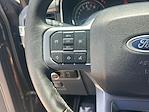 2023 Ford F-150 SuperCrew Cab 4x2 Pickup for sale #LPA12170 - photo 39