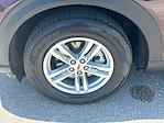 2023 Ford Explorer RWD SUV for sale #LPE12133 - photo 19