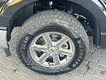 2024 Ford F-150 SuperCrew Cab 4WD Pickup for sale #LPE12212 - photo 23