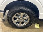 2024 Ford F-150 SuperCrew Cab 4WD Pickup for sale #LPE12213 - photo 20