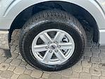 2023 Ford F-150 SuperCrew Cab RWD Pickup for sale #LPE12420 - photo 18