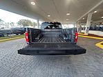 2023 Ford F-150 SuperCrew Cab RWD Pickup for sale #LPE12424 - photo 31