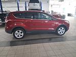 2014 Ford Escape 4x2 SUV for sale #C2A27193 - photo 5