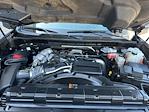 2024 Chevrolet Silverado 2500 Crew Cab 4x4 Pickup for sale #P24SD308A - photo 8