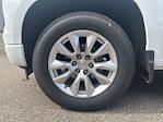 2024 Chevrolet Silverado 1500 Crew Cab RWD Pickup for sale #P25EX156A - photo 21