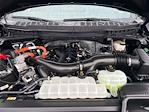 2024 Ford F-150 SuperCrew Cab 4WD Pickup for sale #P25F1178A - photo 10