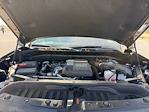 2024 Chevrolet Silverado 1500 Crew Cab 4WD Pickup for sale #P25MV111A - photo 20