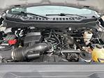 2023 Ford F-250 Crew Cab 4x4 Pickup for sale #P25SD052A - photo 8
