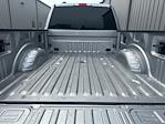 2023 Ford F-250 Crew Cab 4x4 Pickup for sale #P25SD052A - photo 9