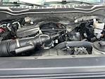 2021 Ford F-250 Crew Cab 4x4 Pickup for sale #P25SD055A - photo 7