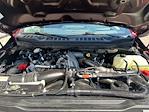 2023 Ford F-250 Crew Cab 4x4 Pickup for sale #P25SD085A - photo 8