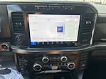 2023 Ford F-250 Crew Cab 4x4 Pickup for sale #P25SD102A - photo 16