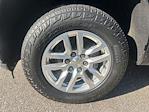 2020 Chevrolet Silverado 1500 Crew Cab 4WD Pickup for sale #P25SD120B - photo 20