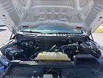 2021 Ford F-150 SuperCrew Cab 4WD Pickup for sale #P26SD082C - photo 20