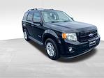 2012 Ford Escape 4x2 SUV for sale #C24BR029D - photo 7