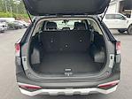 2024 Kia Sportage FWD SUV for sale #C25BR033B - photo 22