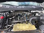2019 Ford F-150 SuperCrew Cab 4x2 Pickup for sale #C25F1018A - photo 21