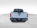 2019 Ford F-150 SuperCrew Cab 4x2 Pickup for sale #C25F1018A - photo 3