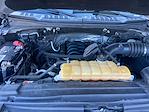 2016 Ford F-150 SuperCrew Cab 4x4 Pickup for sale #C25F1098B - photo 20