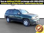 Used 2002 Chevrolet Trailblazer LS for sale #C25F1141B - photo 10