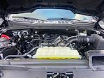 2024 Ford F-150 SuperCrew Cab 4x4 Pickup for sale #C25MU011A - photo 21