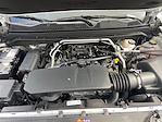 2024 Chevrolet Colorado Crew Cab 4x2 Pickup for sale #C25MV025A - photo 21
