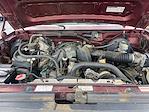 1996 Ford F-150 Regular Cab RWD Pickup for sale #C25RG013B - photo 19