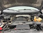 2013 Ford F-150 SuperCrew Cab 4x4 Pickup for sale #C25RG015A - photo 22