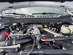 2024 Ford F-250 Crew Cab 4x4 Pickup for sale #C25SD075A - photo 22